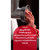 چرخ گوشت استیل نیولند مدل2953gr