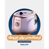 اتو ایستاده نیولند nl2674p